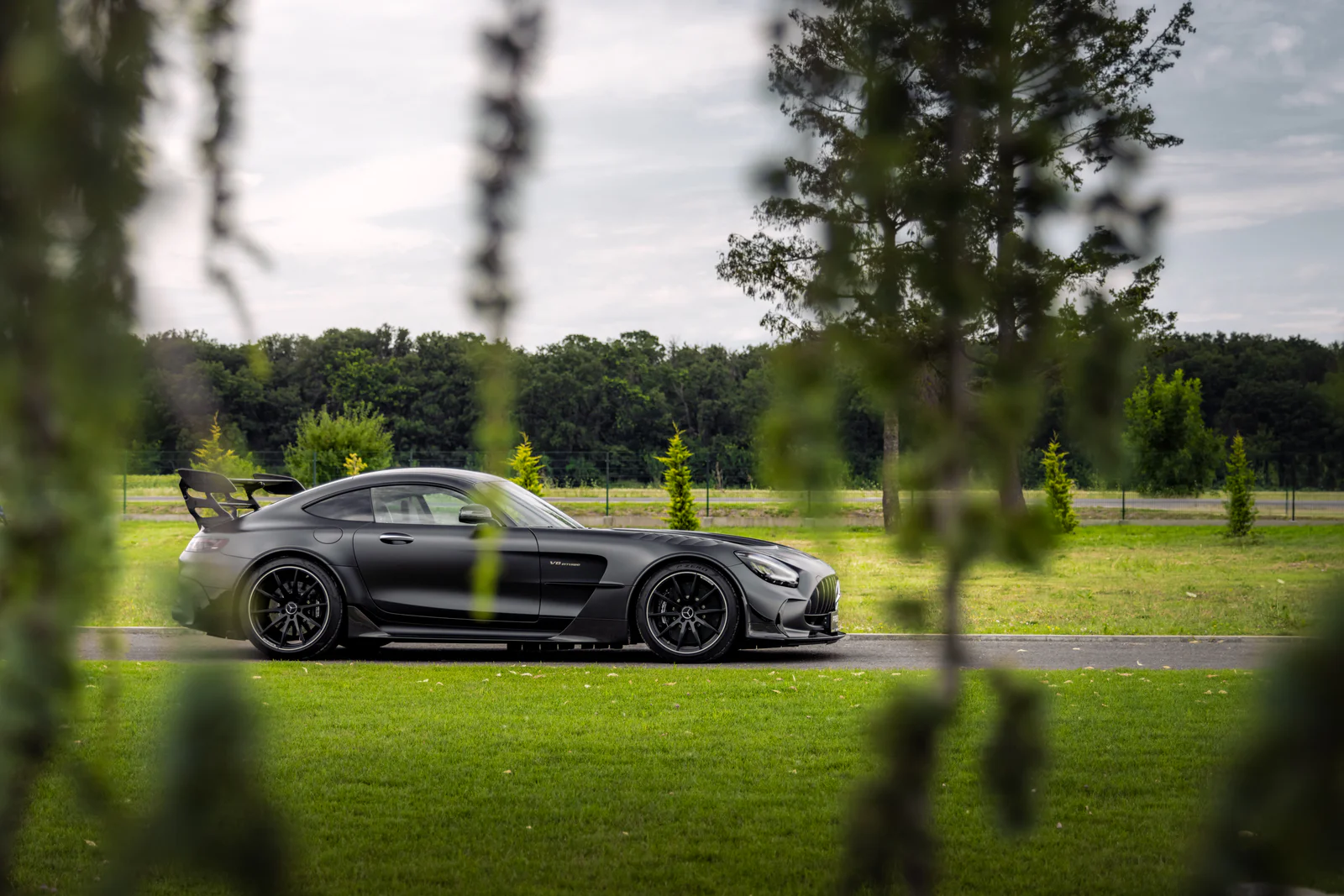 Mercedes-AMG GT Black Series in profile, framed by hanging leaves