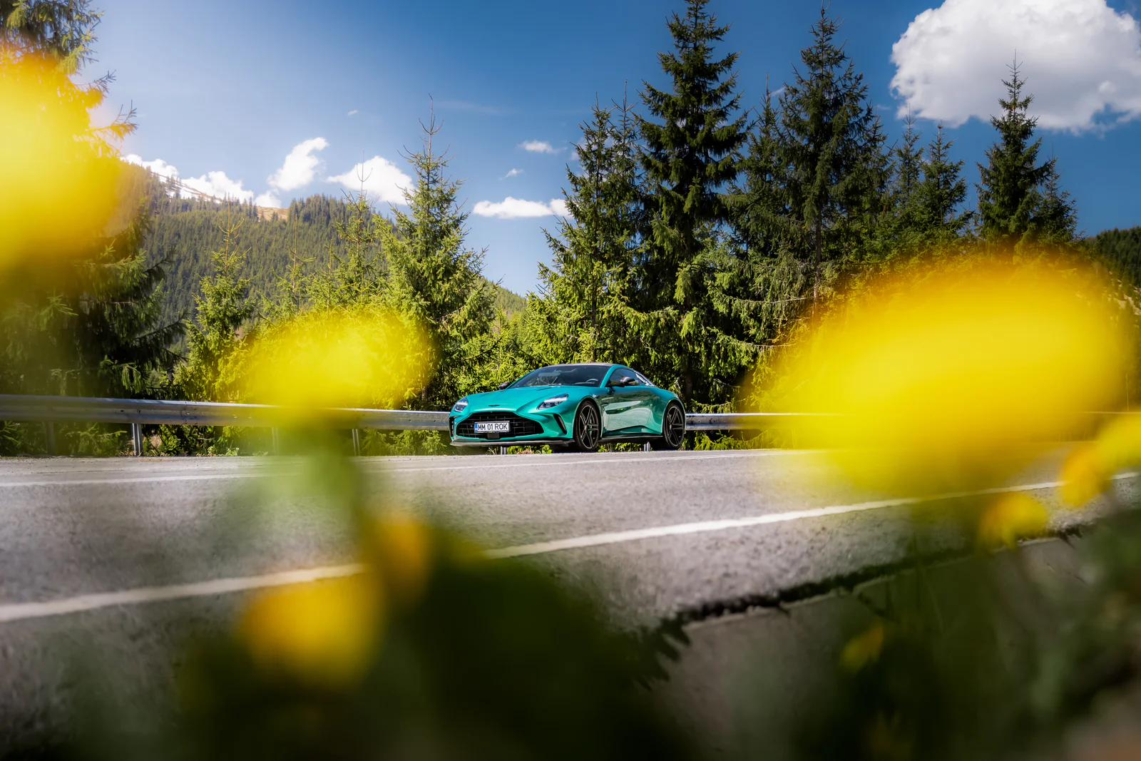Turquoise Vantage framed by yellow flowers beside a forest road