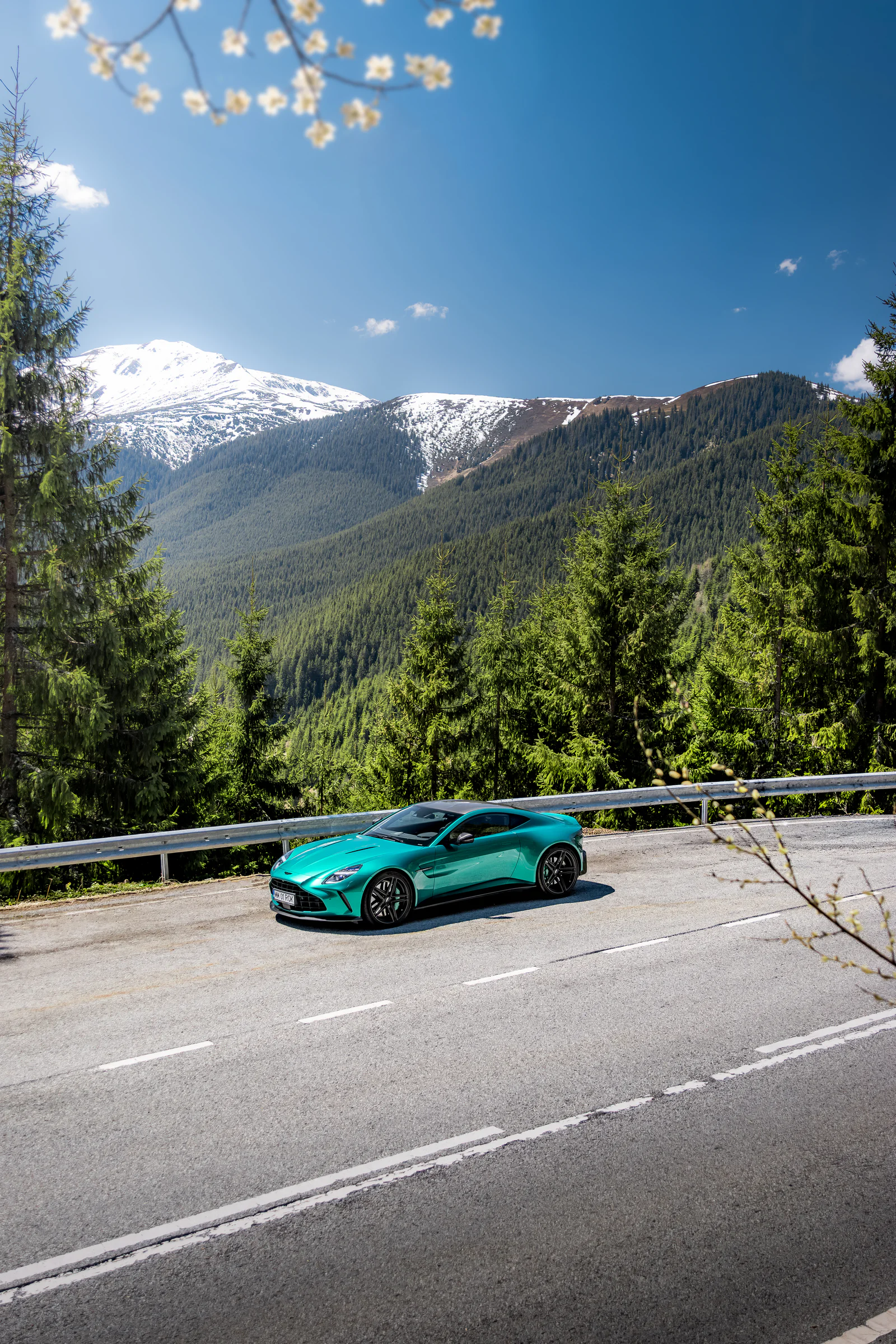 Distant Vantage below a broad mountain landscape, framed by blossom and forest