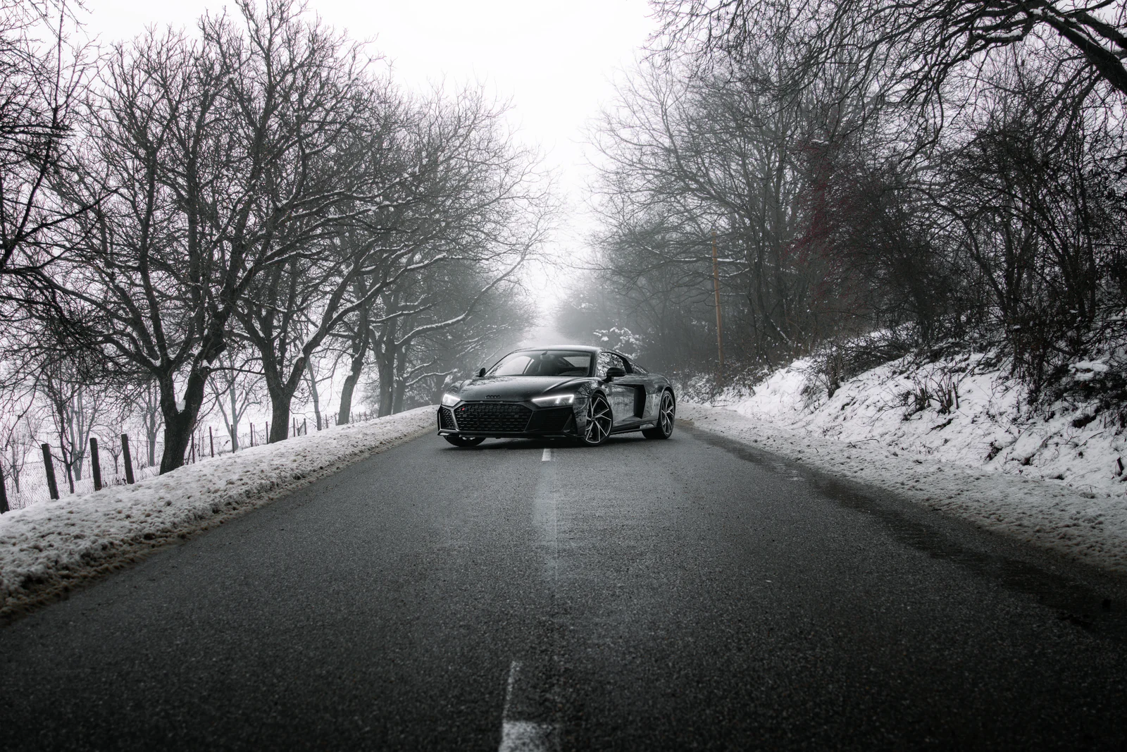 Audi R8 on a wet road beneath bare trees, snow and winter fog