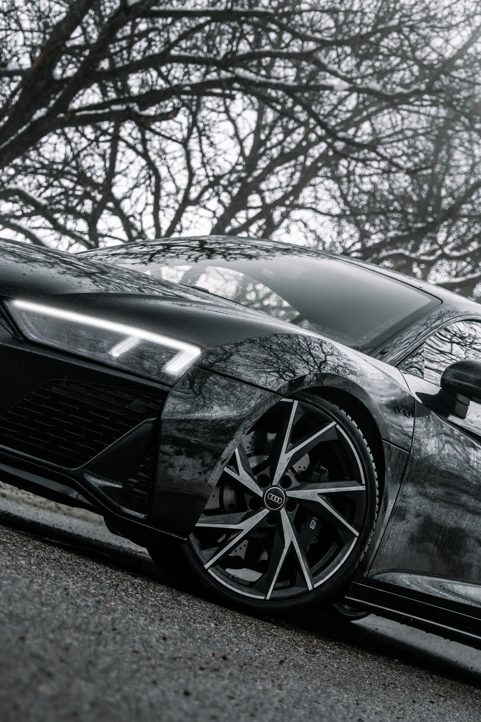 Low diagonal view of the R8 headlight and front wheel reflecting branches