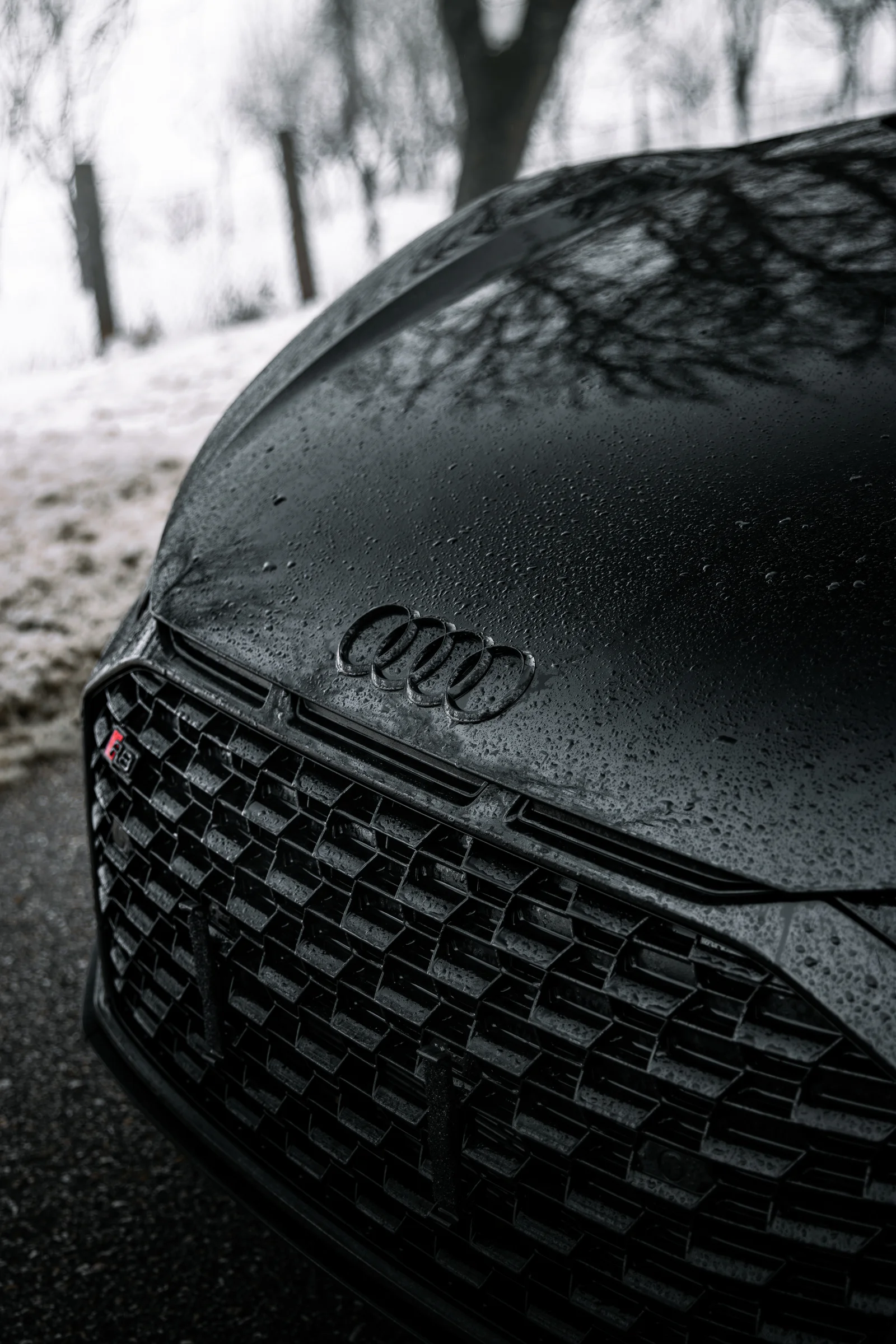 Rain droplets on the black Audi rings, bonnet and R8 grille