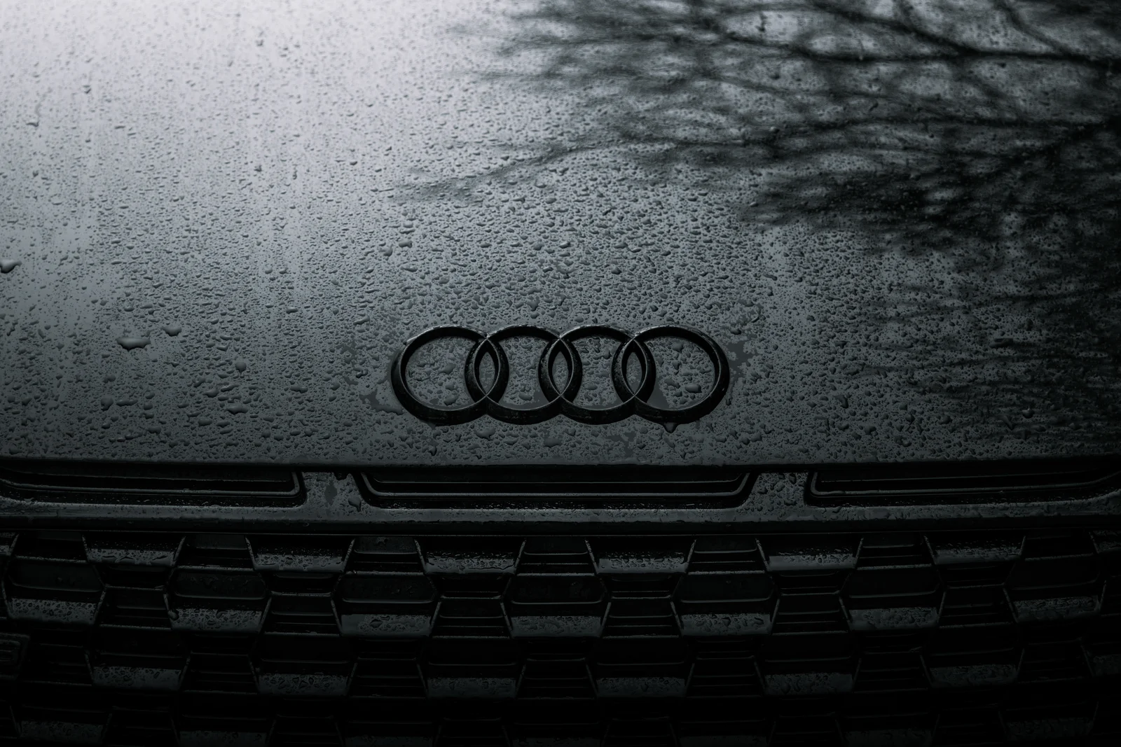 Four Audi rings on the rain-covered bonnet