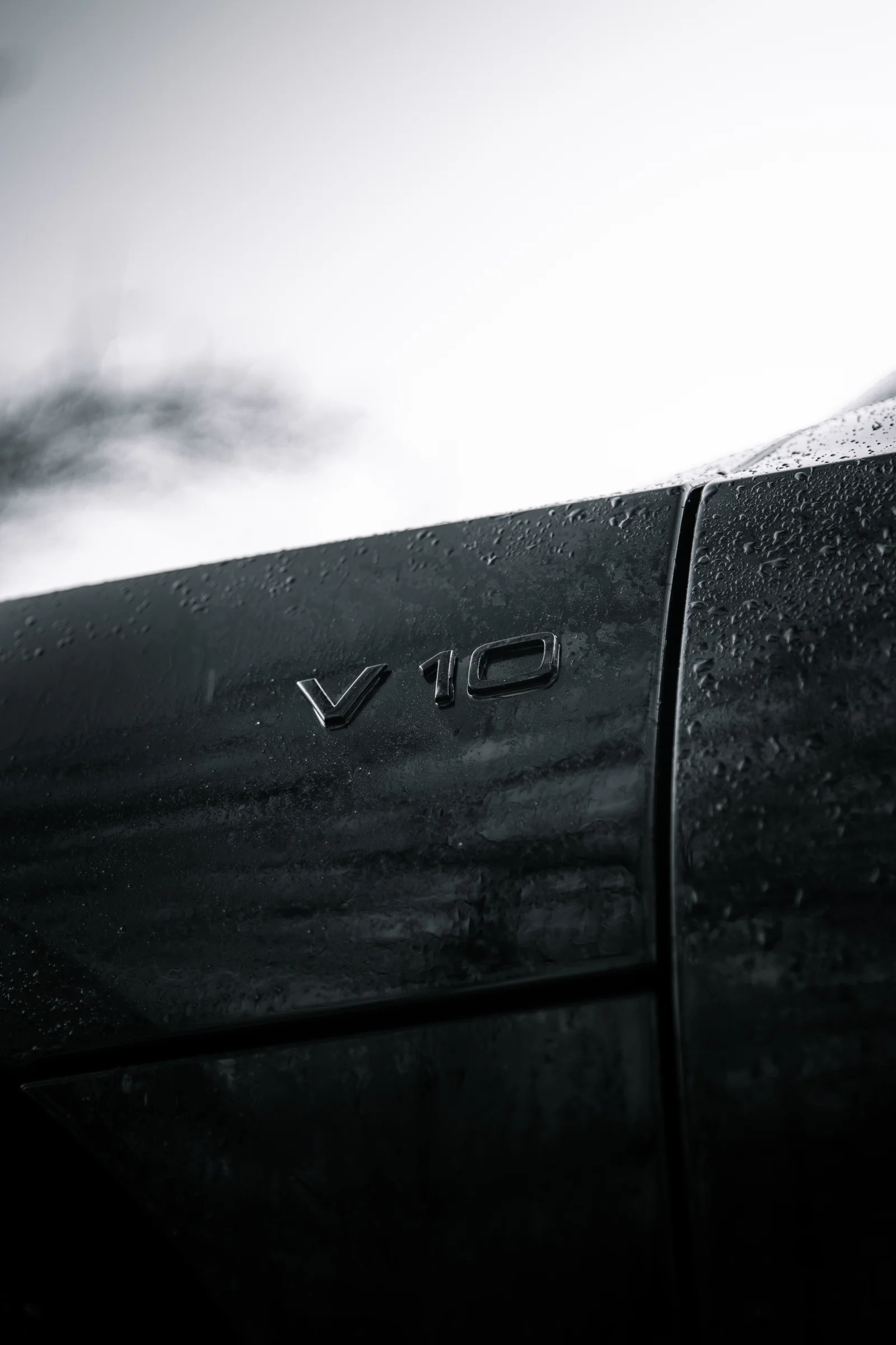 V10 lettering on the wet black front wing