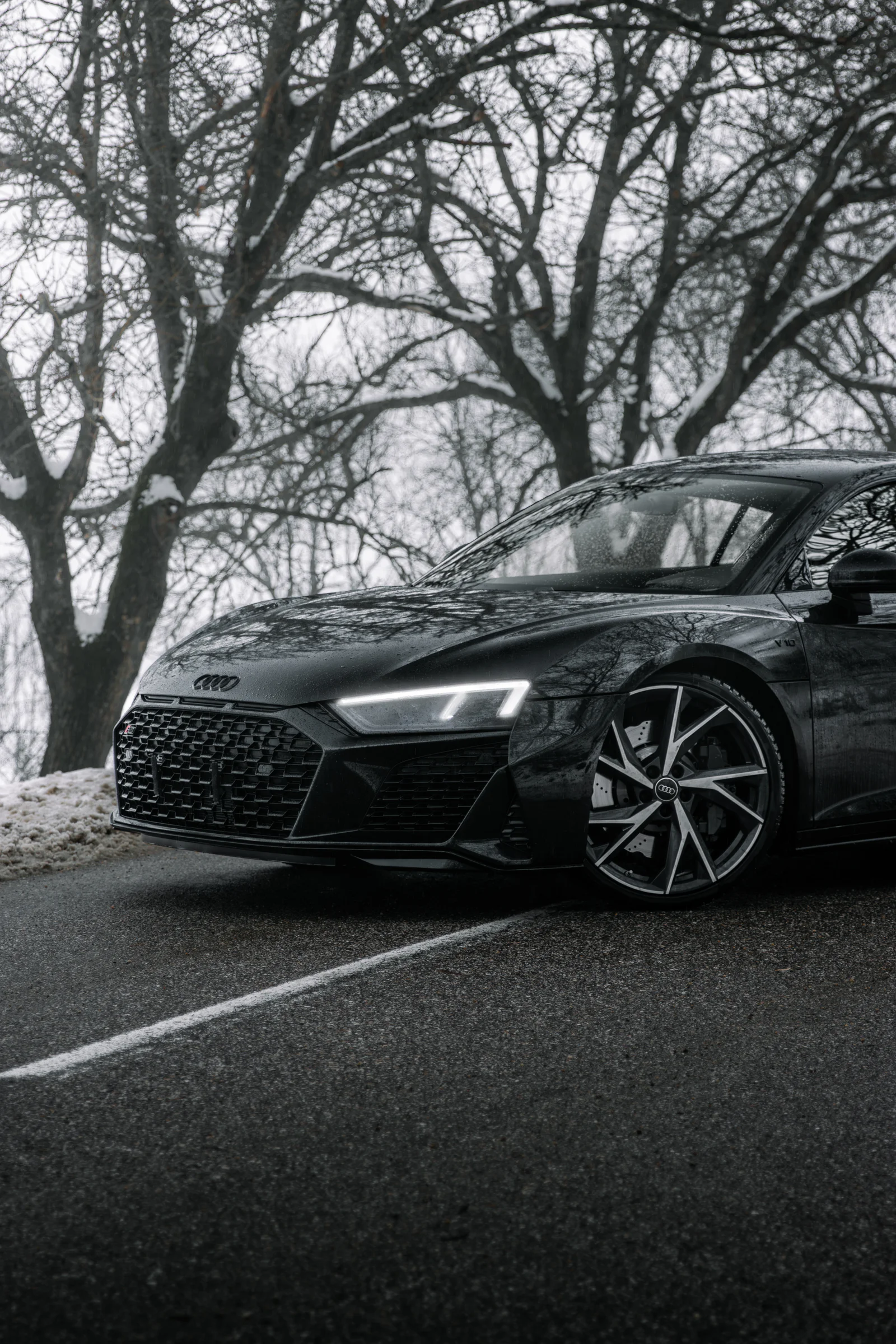 R8 front quarter and headlight beneath reflected winter branches