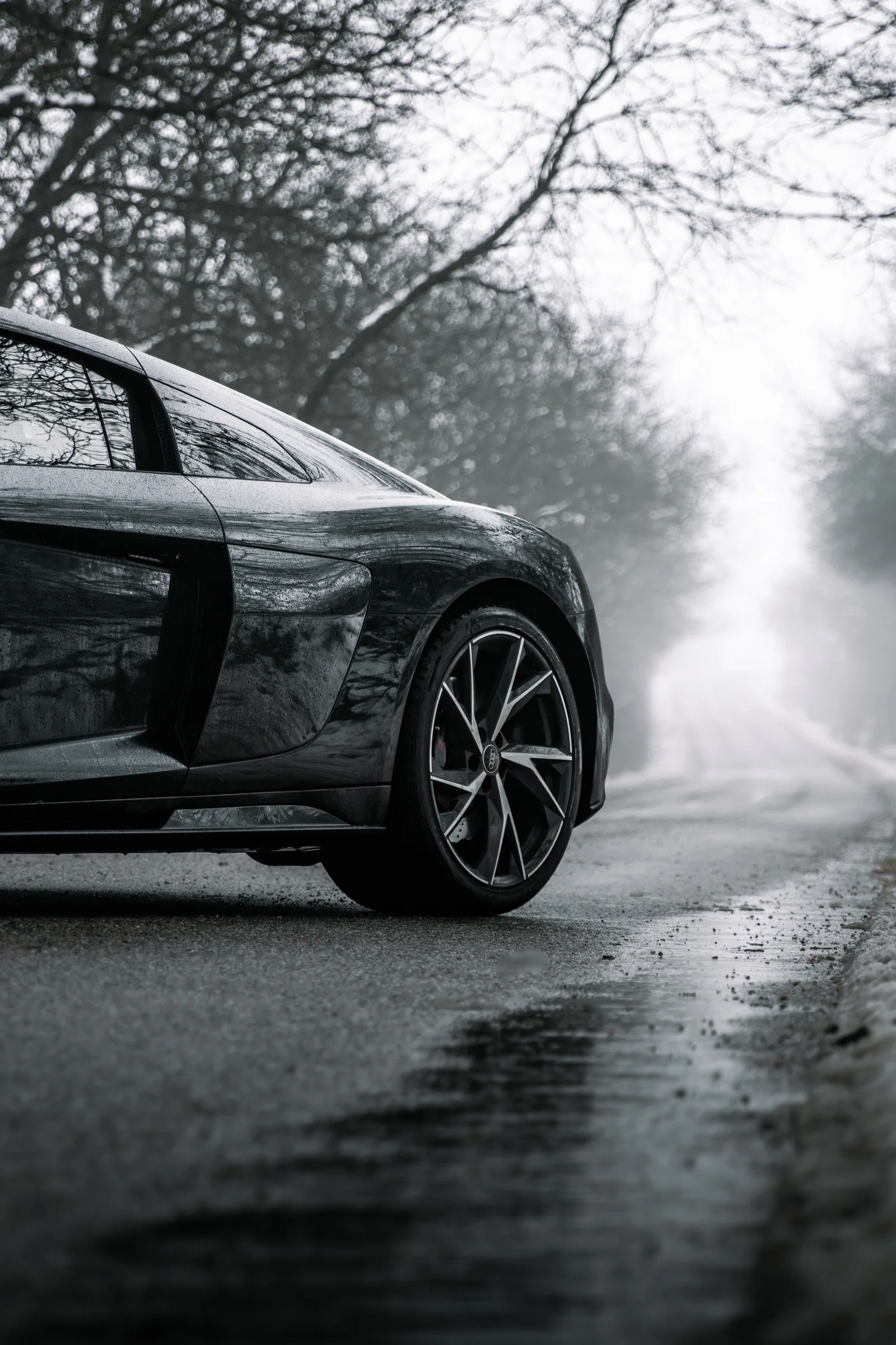 Rear wheel and side blade beside a puddle on the foggy avenue
