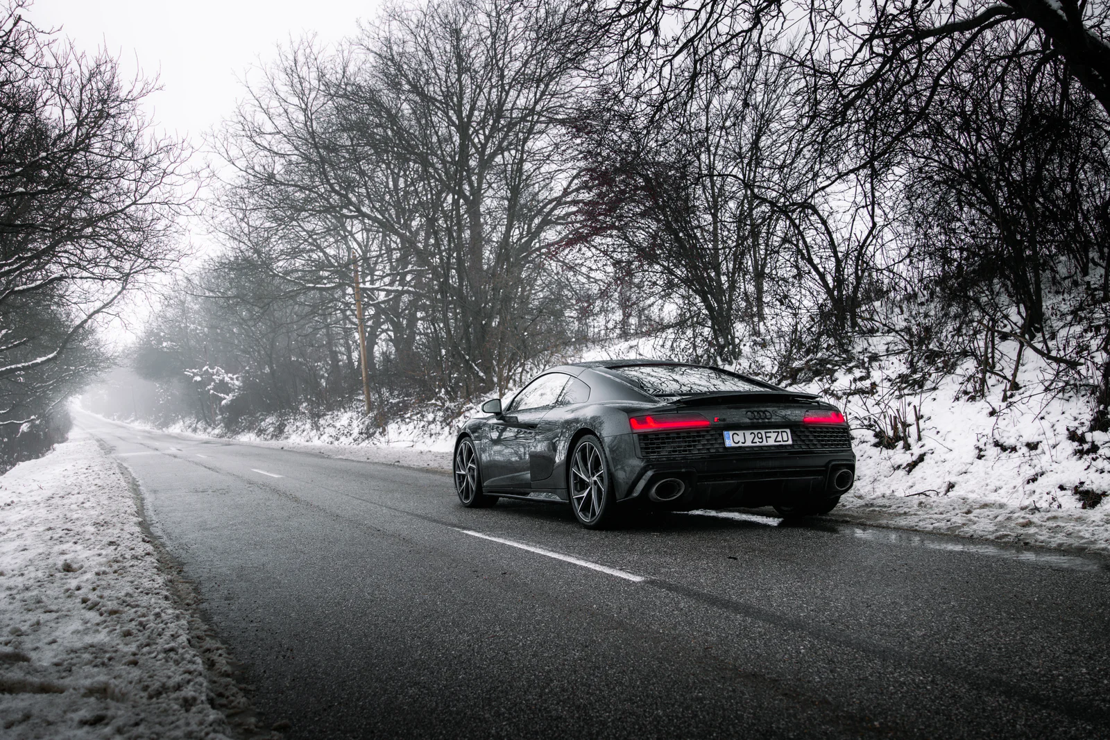 Wide rear view of the R8 as the snowy avenue disappears into fog