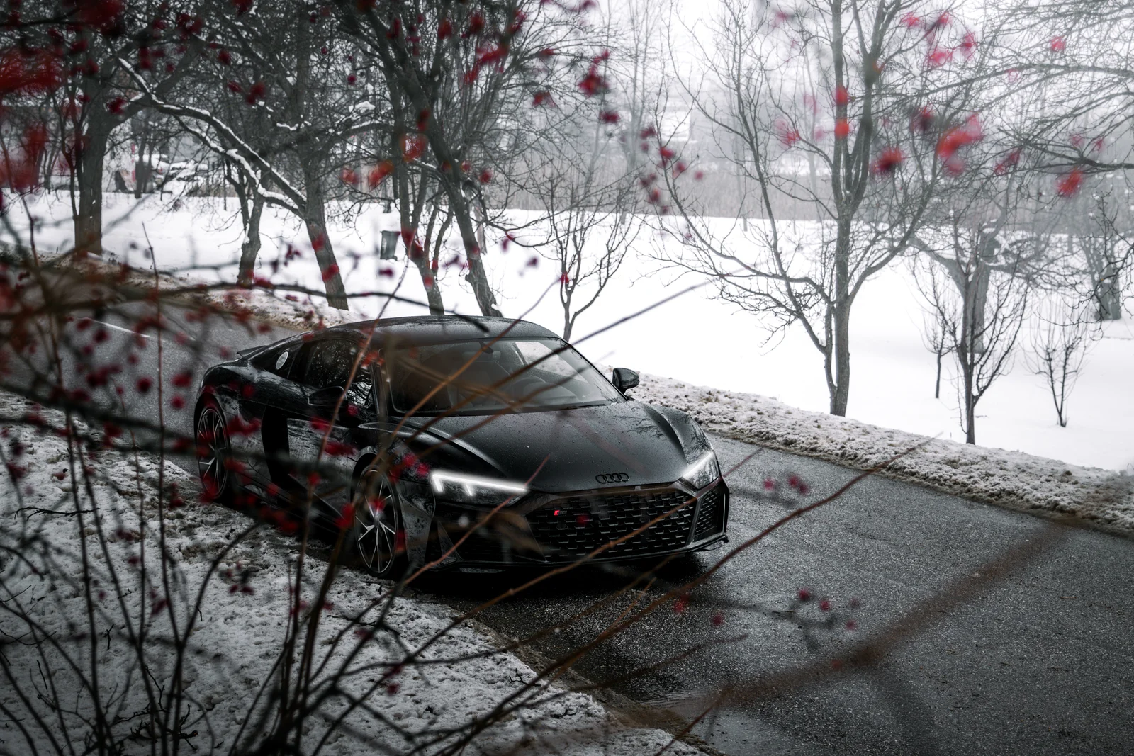 Black Audi R8 framed by red berries and branches against a snowy landscape