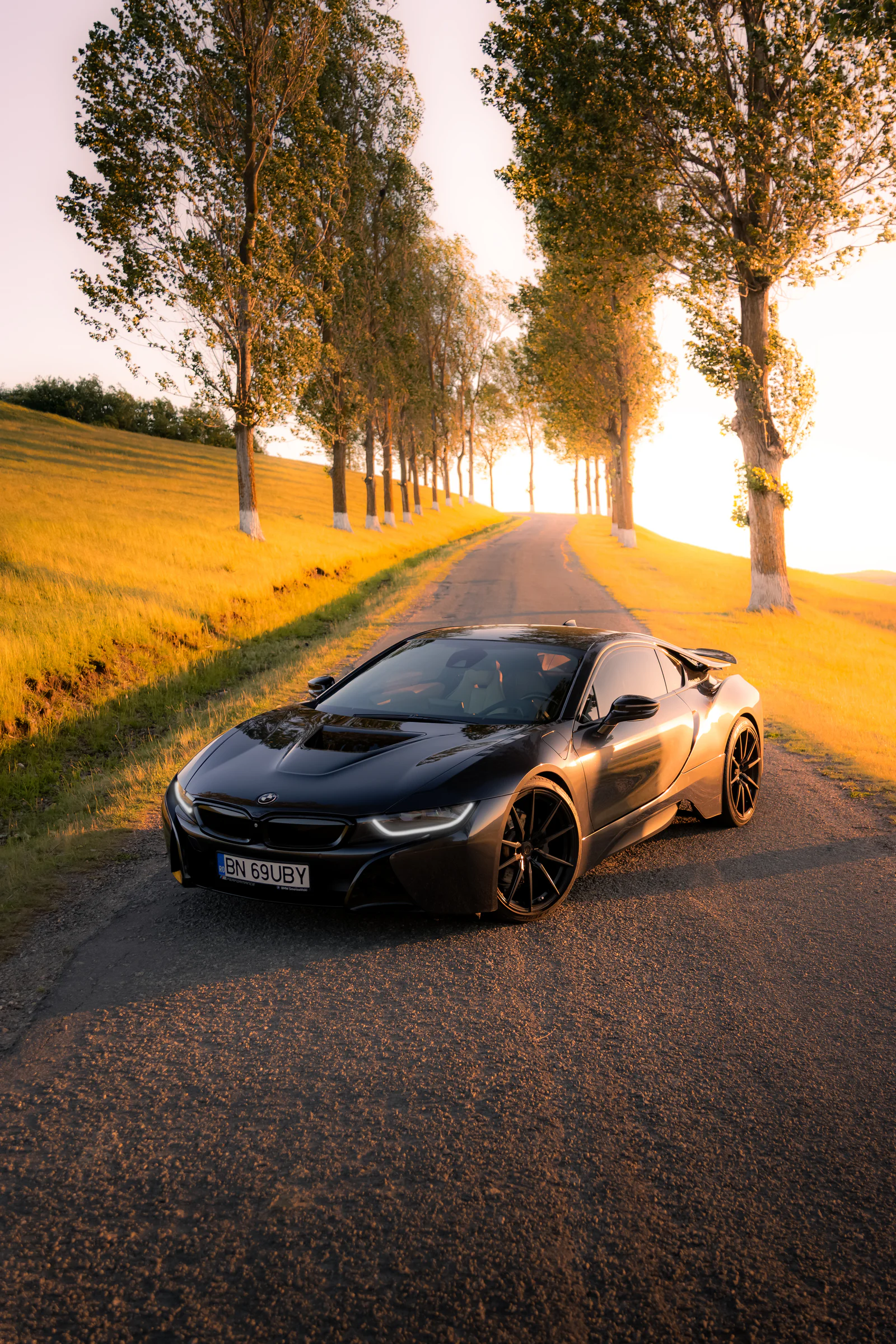 BMW i8 portrait beneath an avenue of trees in evening light