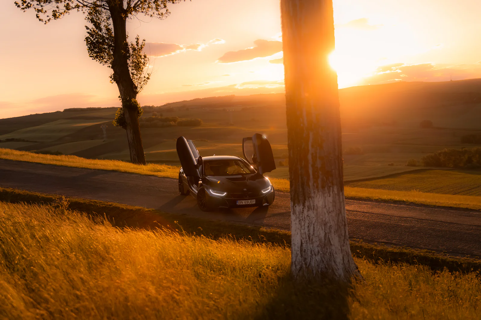 BMW i8 framed between trees overlooking a sunlit valley