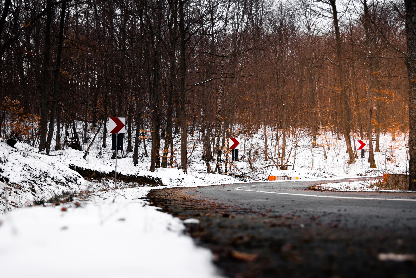 Snow-lined forest road with red chevrons and warm winter light