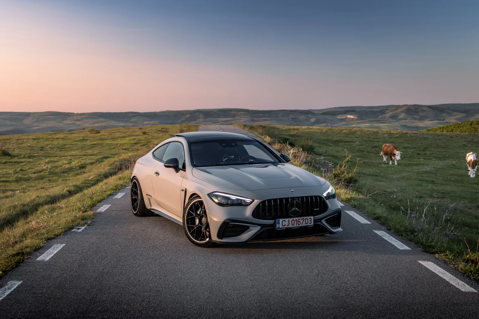 Mercedes-AMG CLE 53 on a country road at sunset, with rolling hills and grazing cows